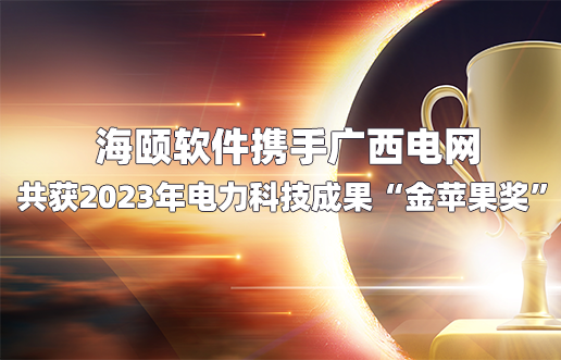 4166全球赢家的信心之选软件携手广西电网共获2023年电